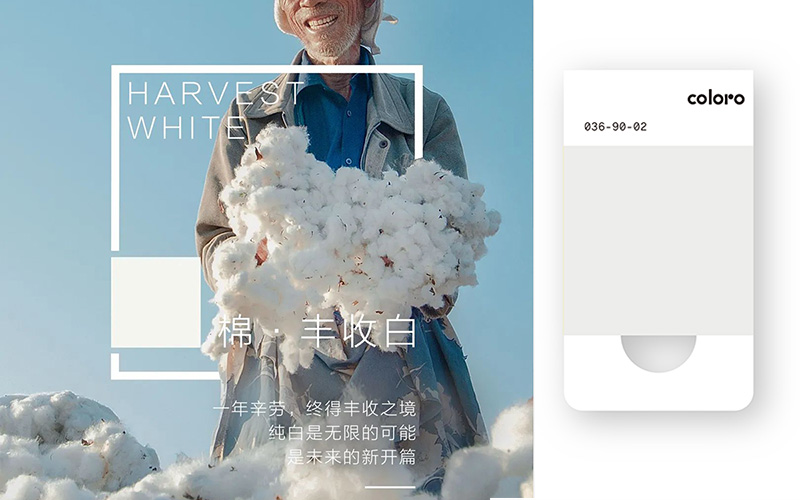 036-90-02豐收白