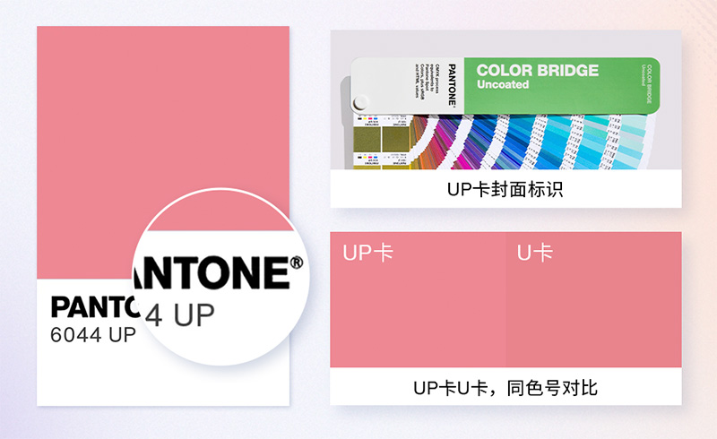 潘通UP卡色號